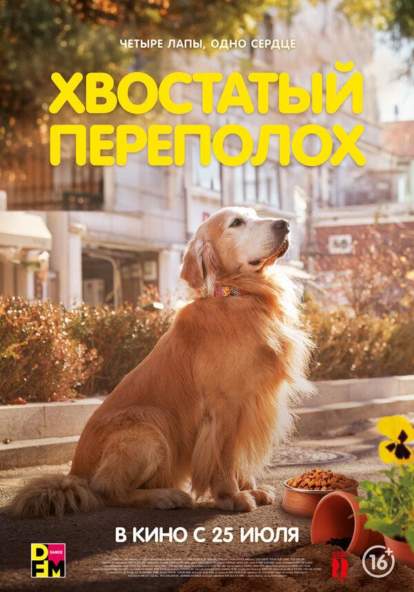 Хвостатый переполох  (16+)