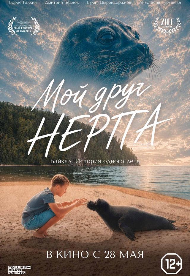 Мой друг нерпа  (12+)