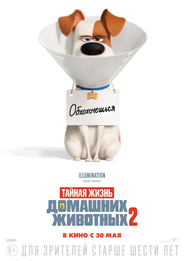 Тайная жизнь домашних животных 2 (6+)